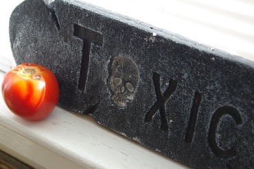 Mock stone/cement texture of this plaque complements the smooth skin of the tomato.