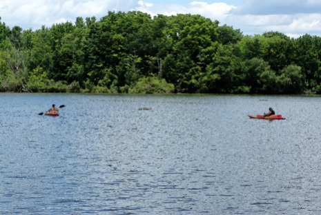 Mill Pond kayaking